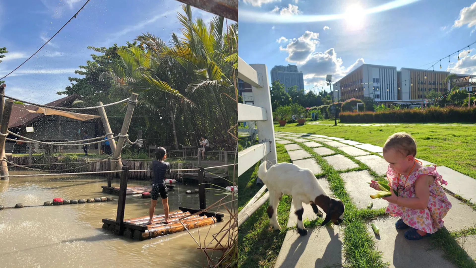 Credit: Instagram/getgrowing.communityfarm, ashcarter.blog