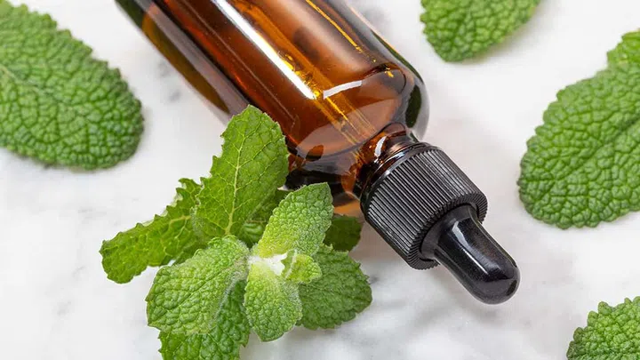 If a peppermint oil is present in a darkened room, people were less likely to become sleep than if there were no odour.