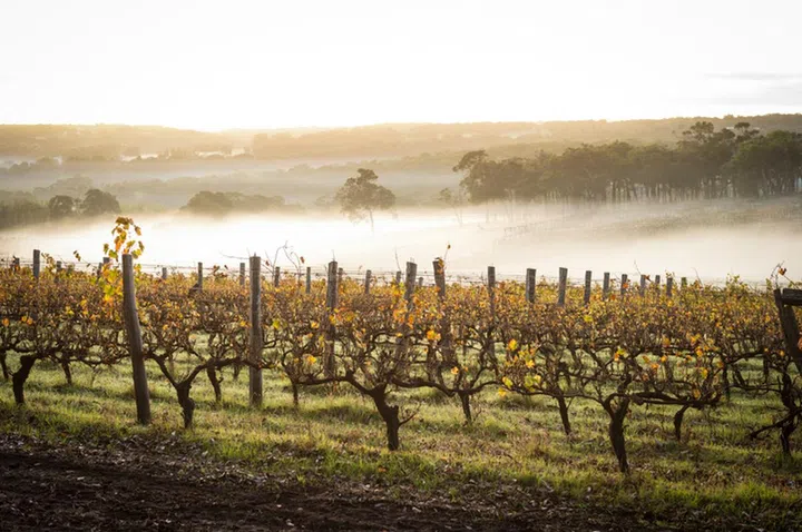 Western Australia