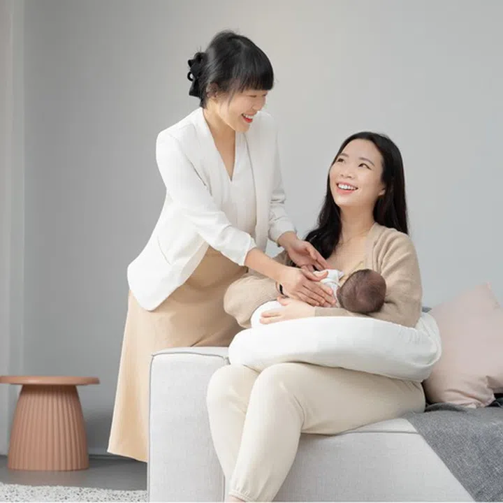 Hegen Lactation Centre 