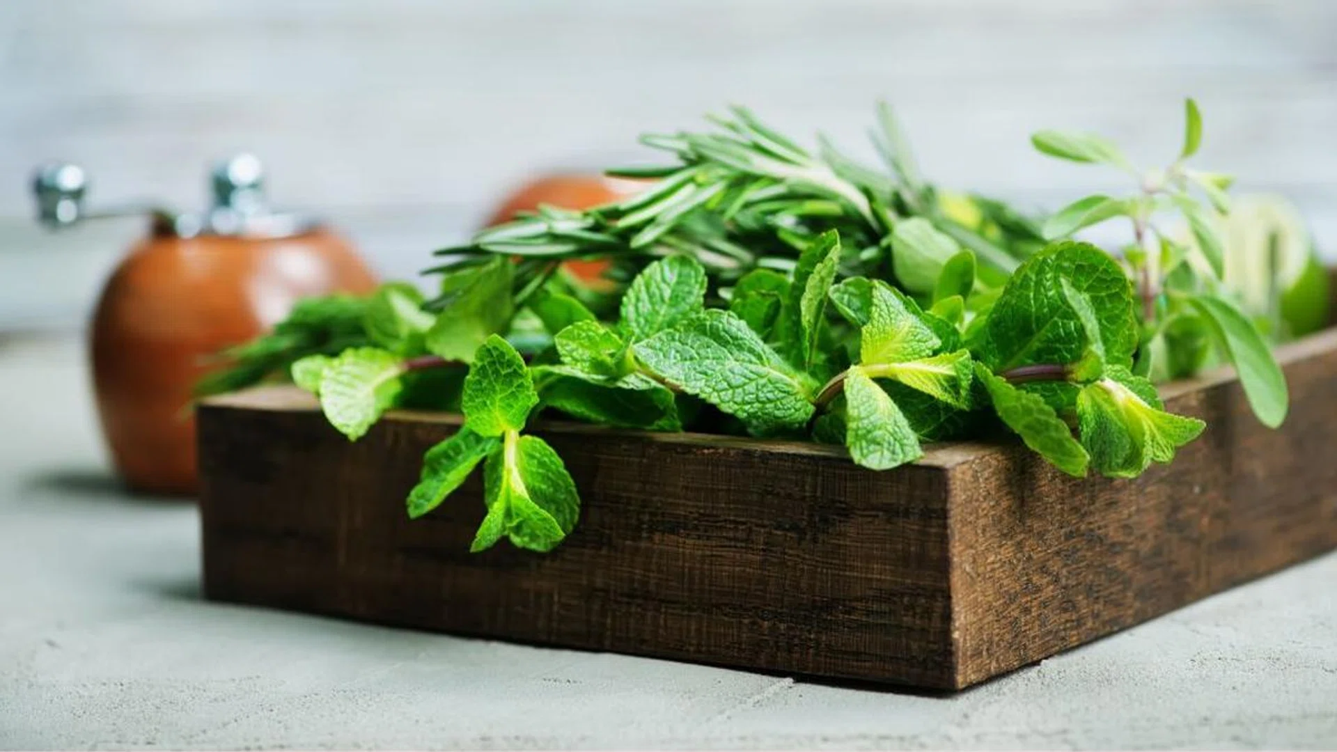 How To Grow Herbs & Veggies Successfully In Your HDB Flat 1