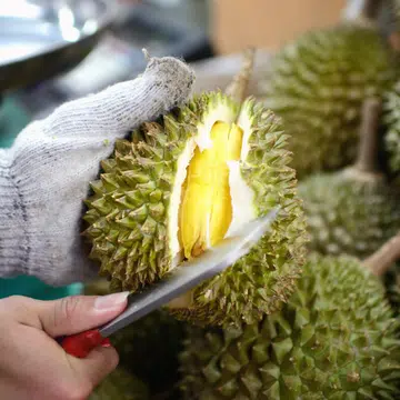 durian stalls in singapore