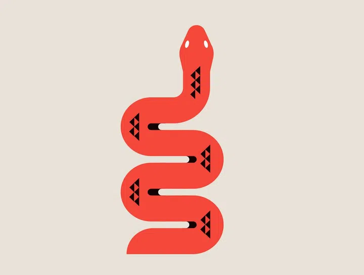 Chinese horoscope zodiac collection, geometric minimalist style. Animals symbols of Chinese New year . Set of mascots: rabbit, dragon, snake, tiger, ox, rat, pig, dog, rooster, monkey, goat, horse. Vector illustrations and concept design
