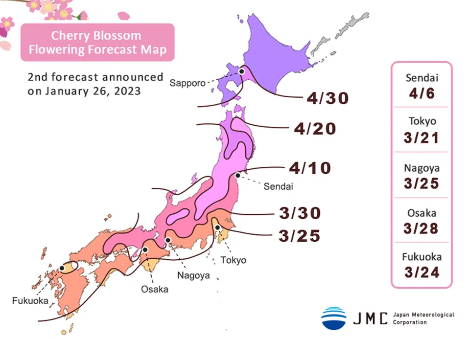 JMC’s map shows the dates by which the cherry blossoms are expected to flower in each area. SOURCE: N-KISHOU.COM