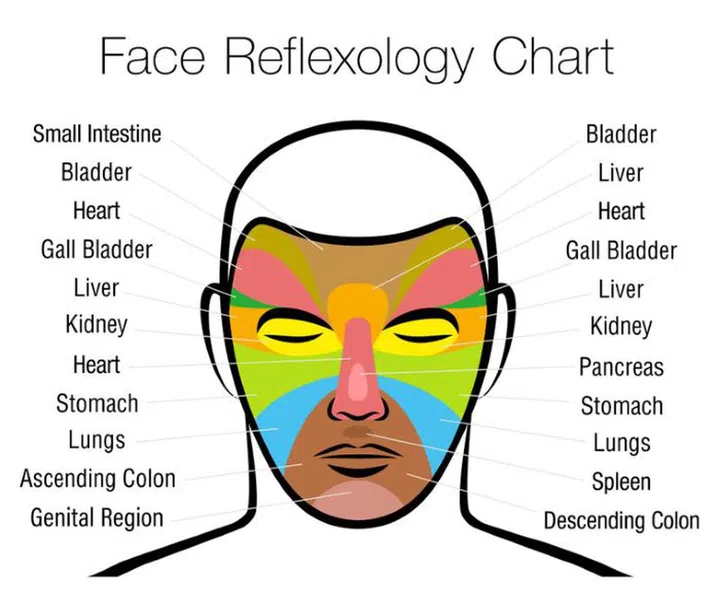 Face reflexology chart, in colour