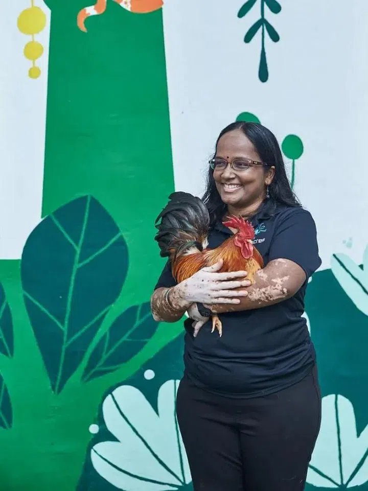 With Diggle the rooster, a beloved fixture at Acre. Photo: Lawrence Teo