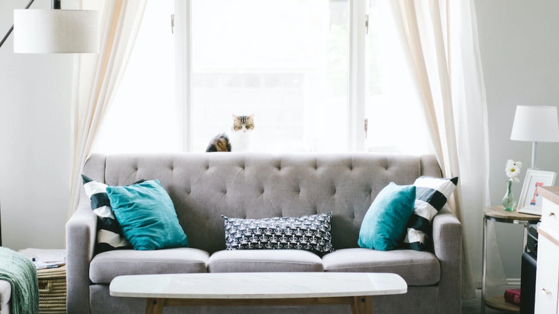 Home & Decor