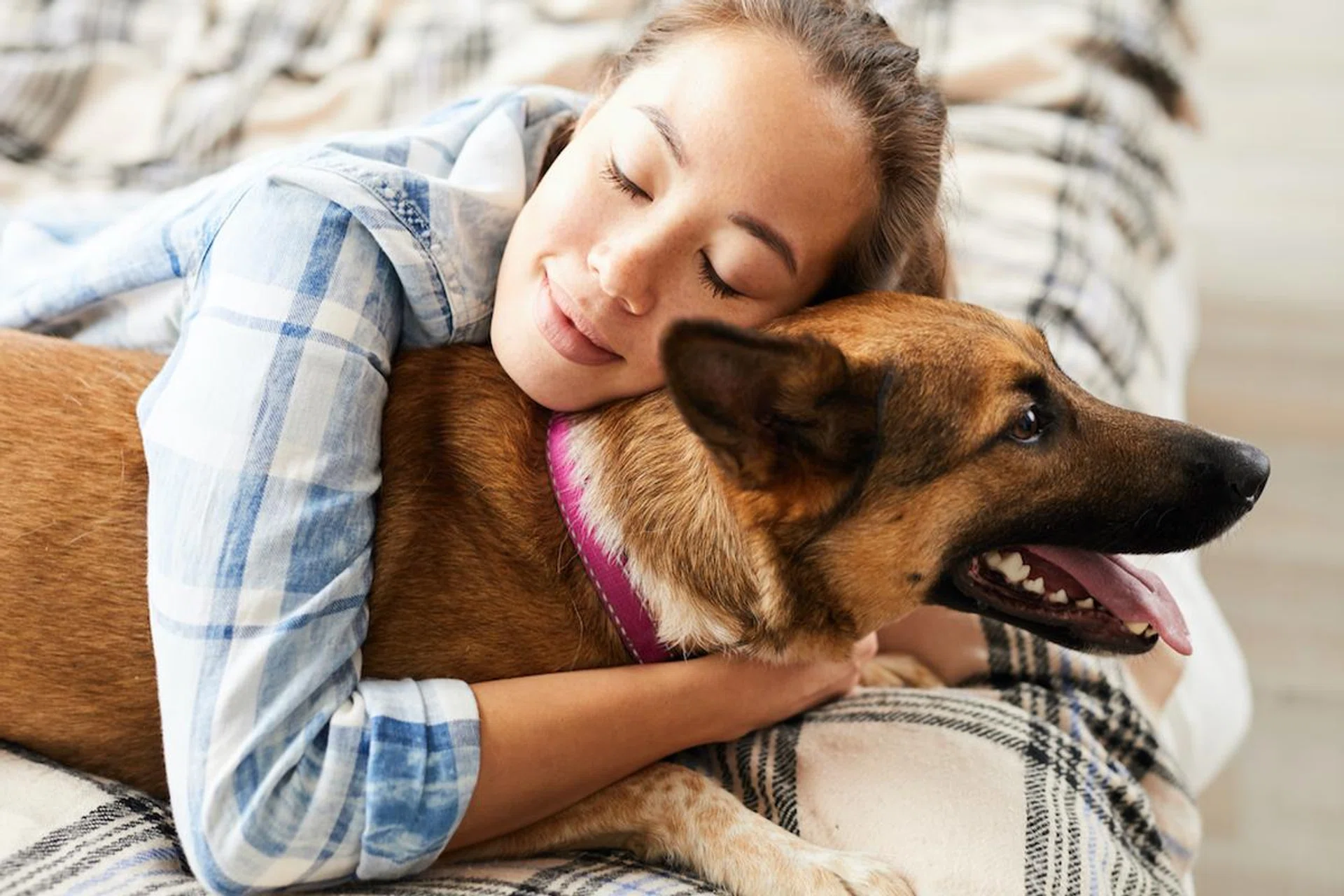 pet-insurance-plans-cats-dogs-accident-illness-loss-singapore