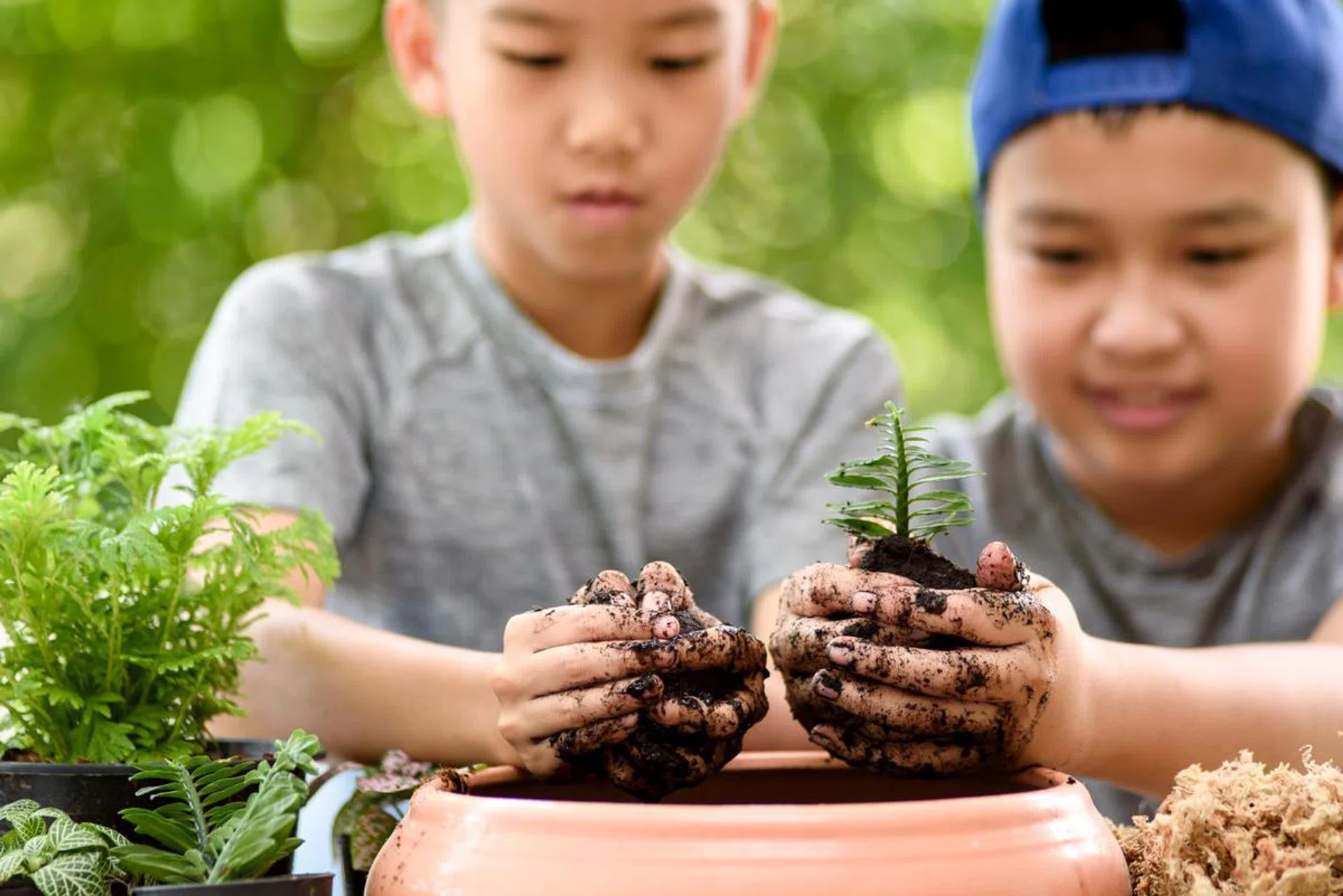 2 kids planting in a garden