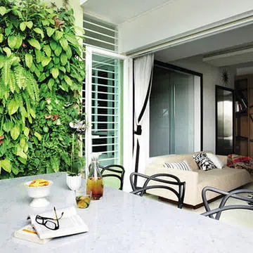 Joo Chiat penthouse with vertical garden