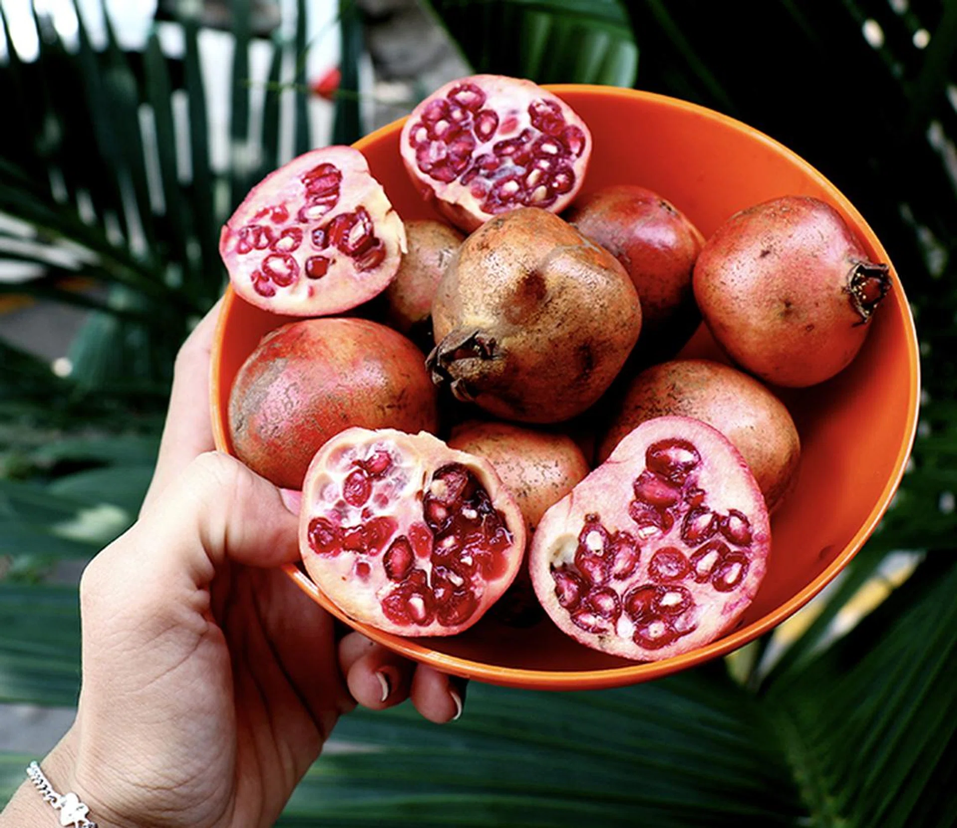 superfood protect UV damage