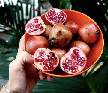 superfood protect UV damage