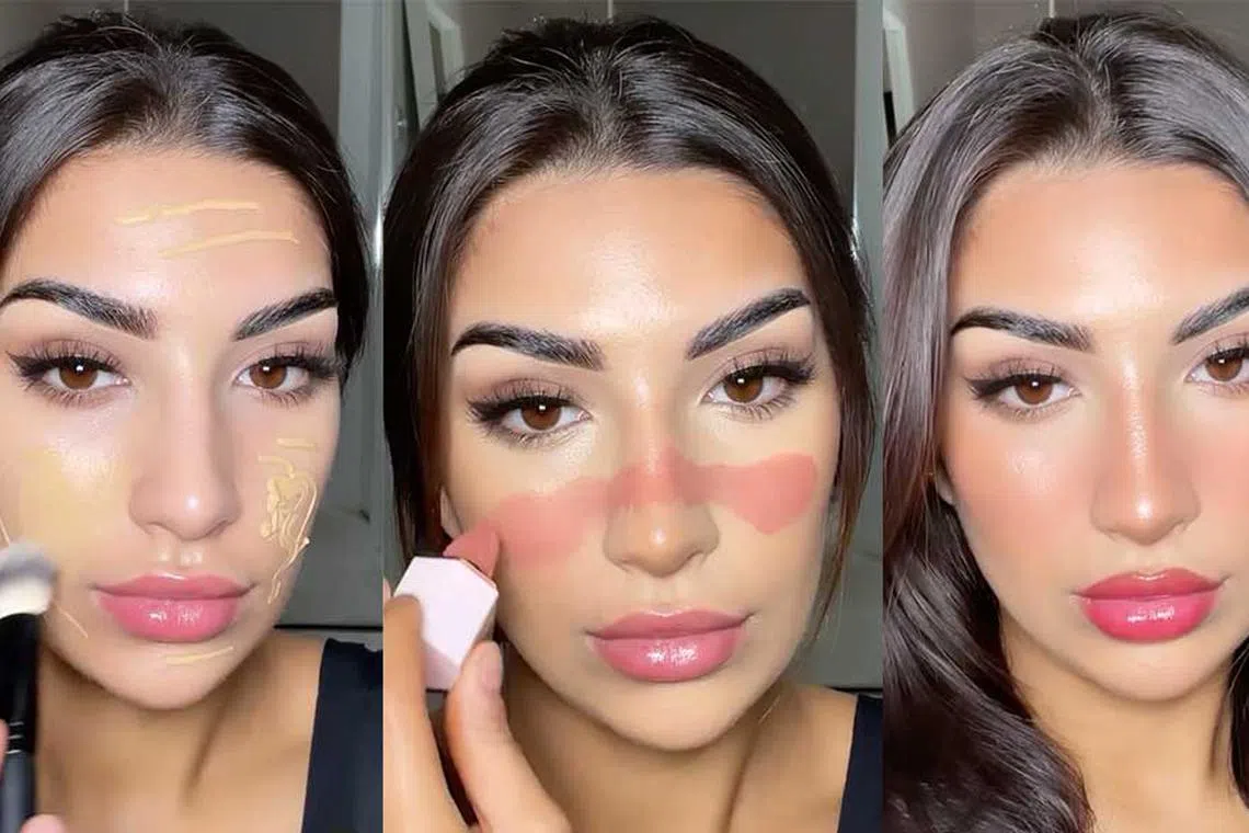 How About Rosy Cheeks For Your Next Video Call? Try The Dolphin Skin ...
