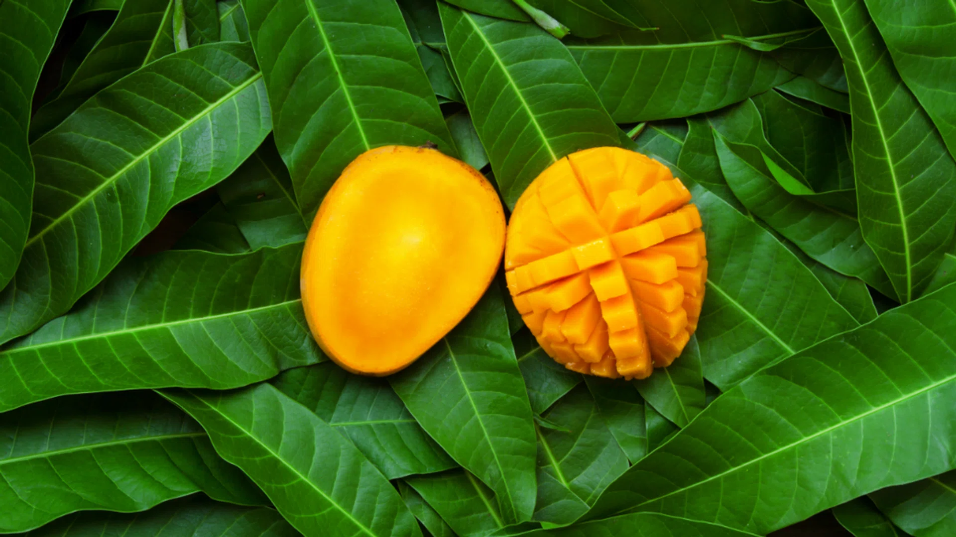 Collagen boosting foods skincare diet