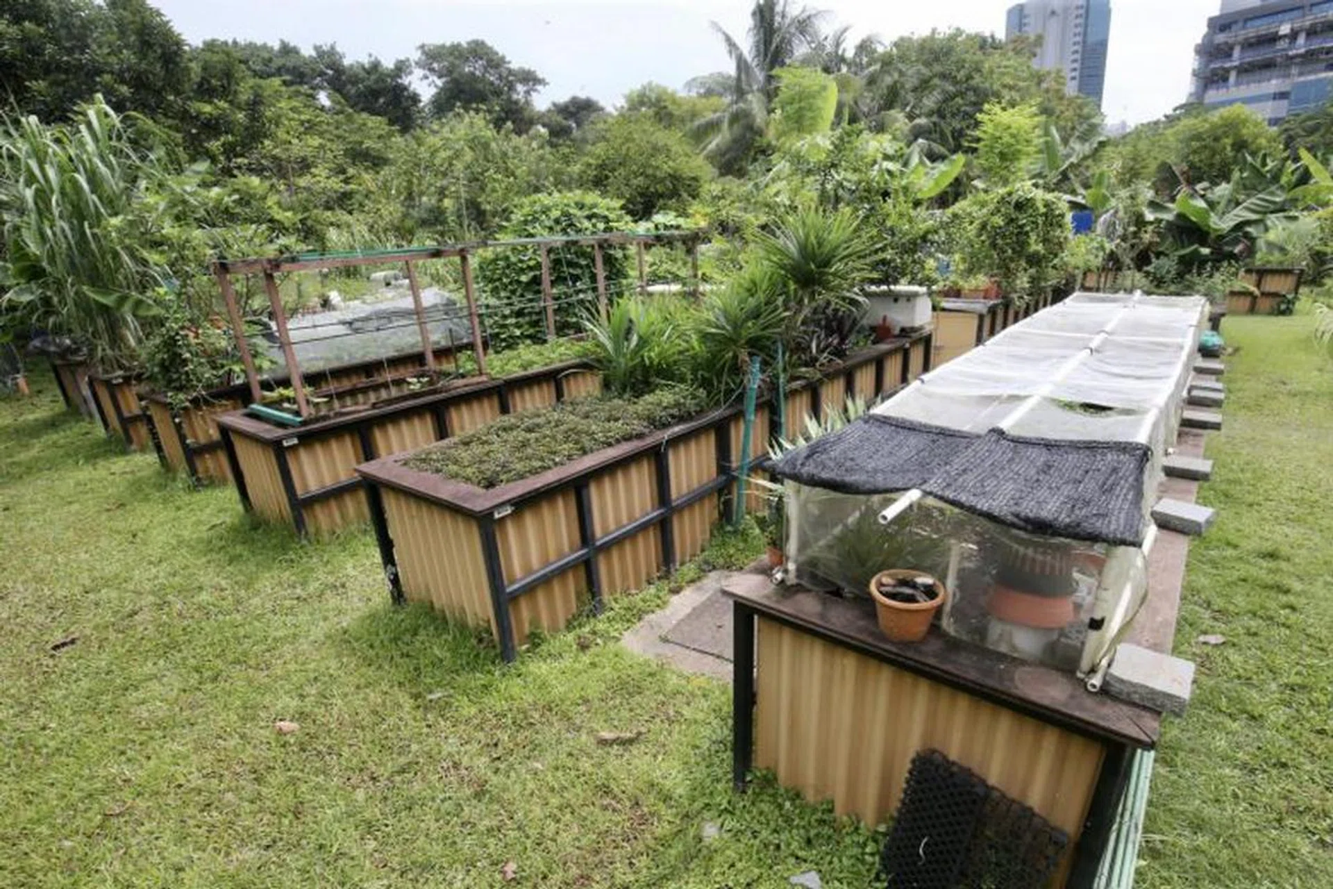 Credit: Lianhe Zaobao