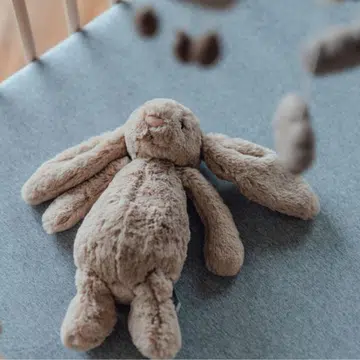 recurrent miscarriage and pregnancy loss