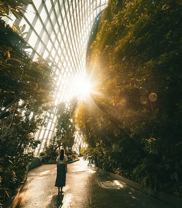 Micro-recovery techniques are mini instant de-stressors such as walking away and deep breathing or going outside to be in nature. (Photo by Stijn Dijkstra from Pexels)