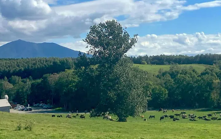 Credit: Biei Free-Range Dairy Farm