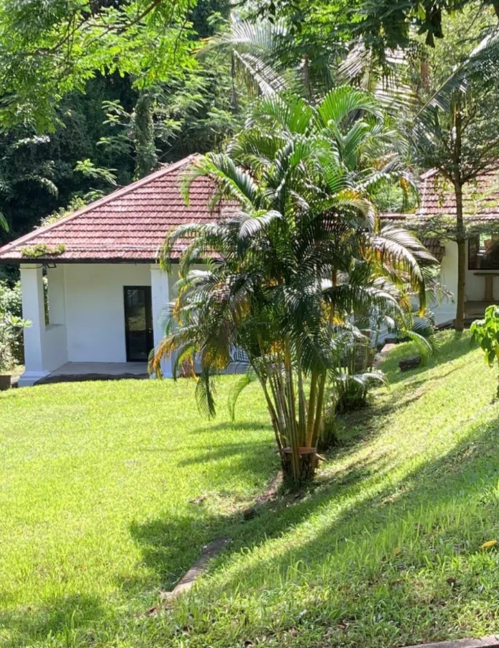 Credit: Courtesy of Deviate Wine Bar