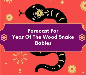 fengshui forecast year of wood snake baby 2025