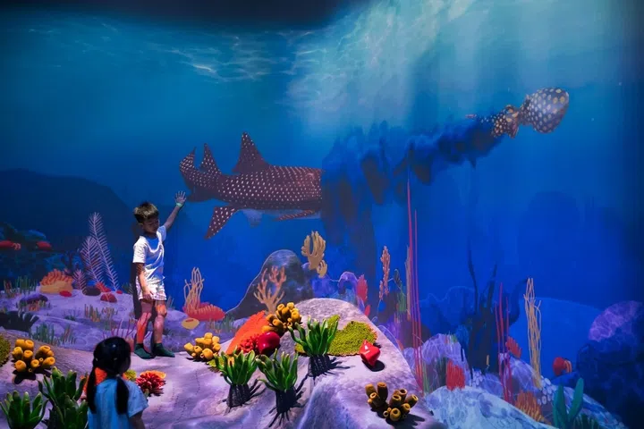 Curiosity Cove indoor playground