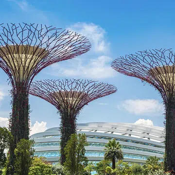 National day 2020 deals