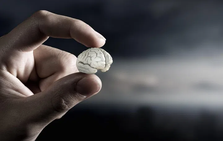 The science: shrinking grey matter
