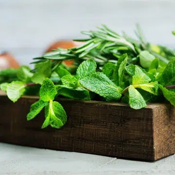 How To Grow Herbs & Veggies Successfully In Your HDB Flat 1