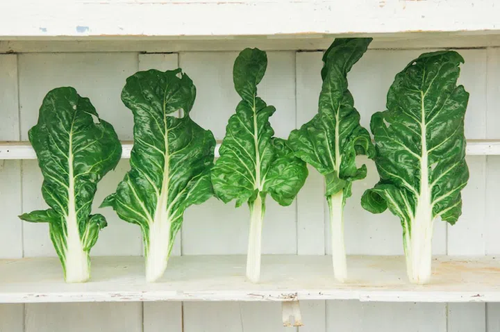 Chard leaves on vintage white shelf