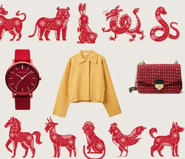 lucky-colour-2021-style-guide-chinese-zodiac-sign