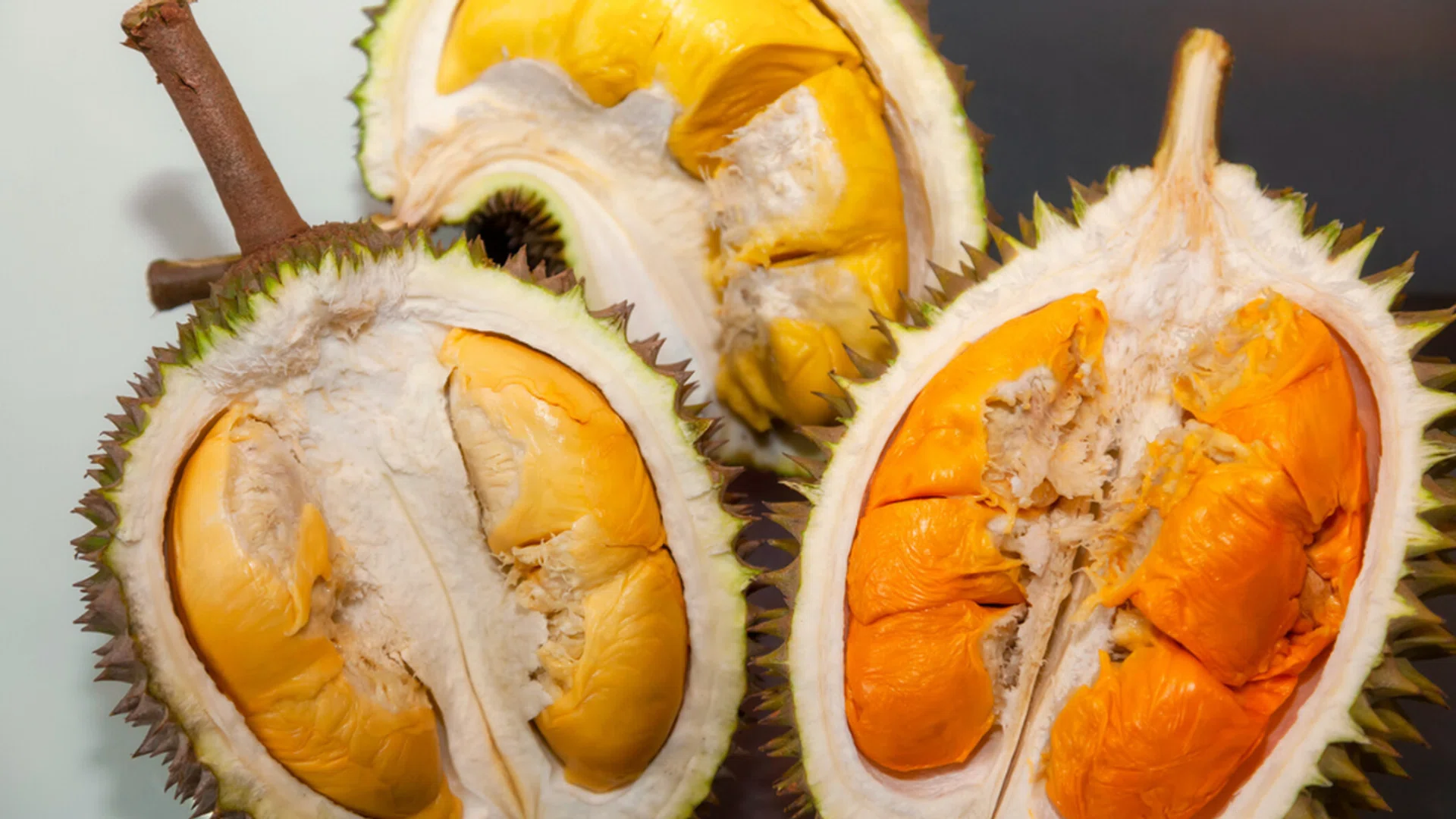 types of durian singapore