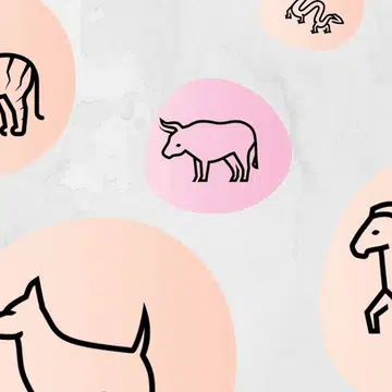 Here Are The Predictions For Your Zodiac This Chinese New Year
