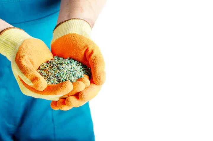 Farmer shows fertilizers in his hands wear in gloves