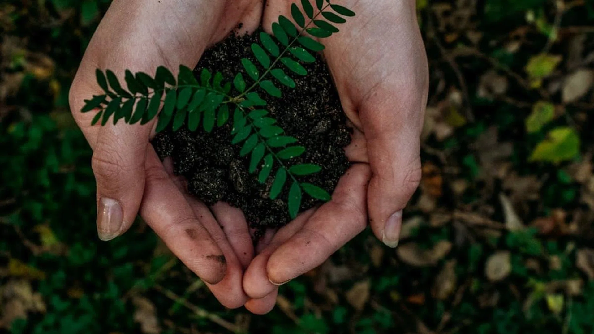 sustainability