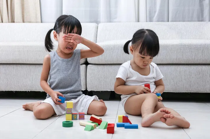 66654718 - asian chinese little sisters struggle for blocks on the floor in the living room at home.