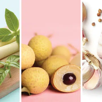 Asian Ingredients Freeze And Keep