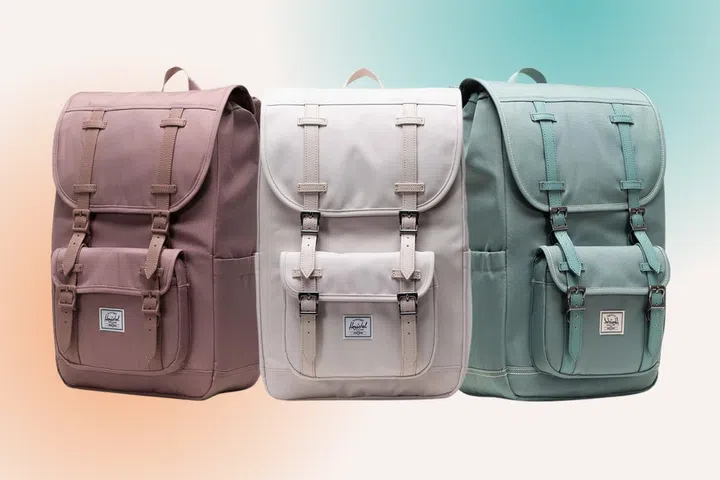 16 Travel Backpacks For Your Next Adventure, compartments, organised