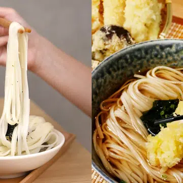 japanese udon in singapore