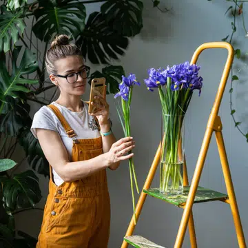 low-maintenance-indoor-plants-hydroponics-gardening-tips