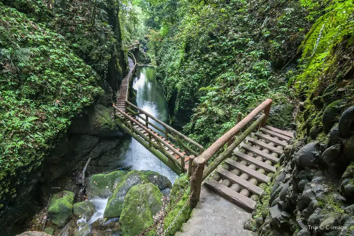 Source: Trip.com