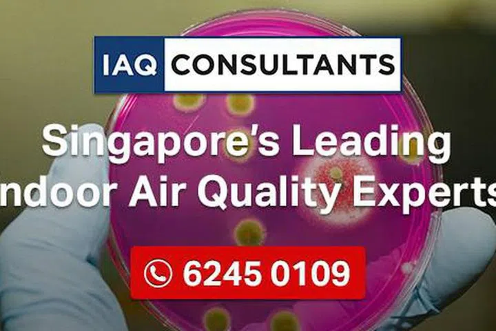 Credit: IAQ Consultants