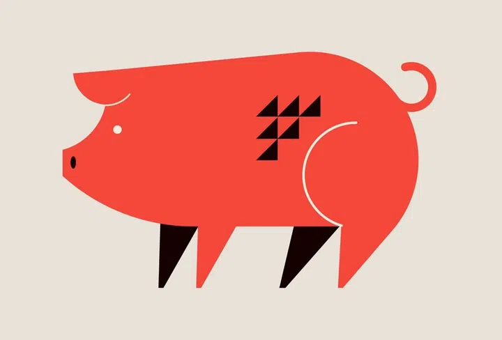 Chinese horoscope zodiac collection, geometric minimalist style. Animals symbols of Chinese New year . Set of mascots: rabbit, dragon, snake, tiger, ox, rat, pig, dog, rooster, monkey, goat, horse. Vector illustrations and concept design