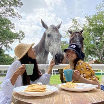 fun-creative-novel-ways-family-staycation-singapore