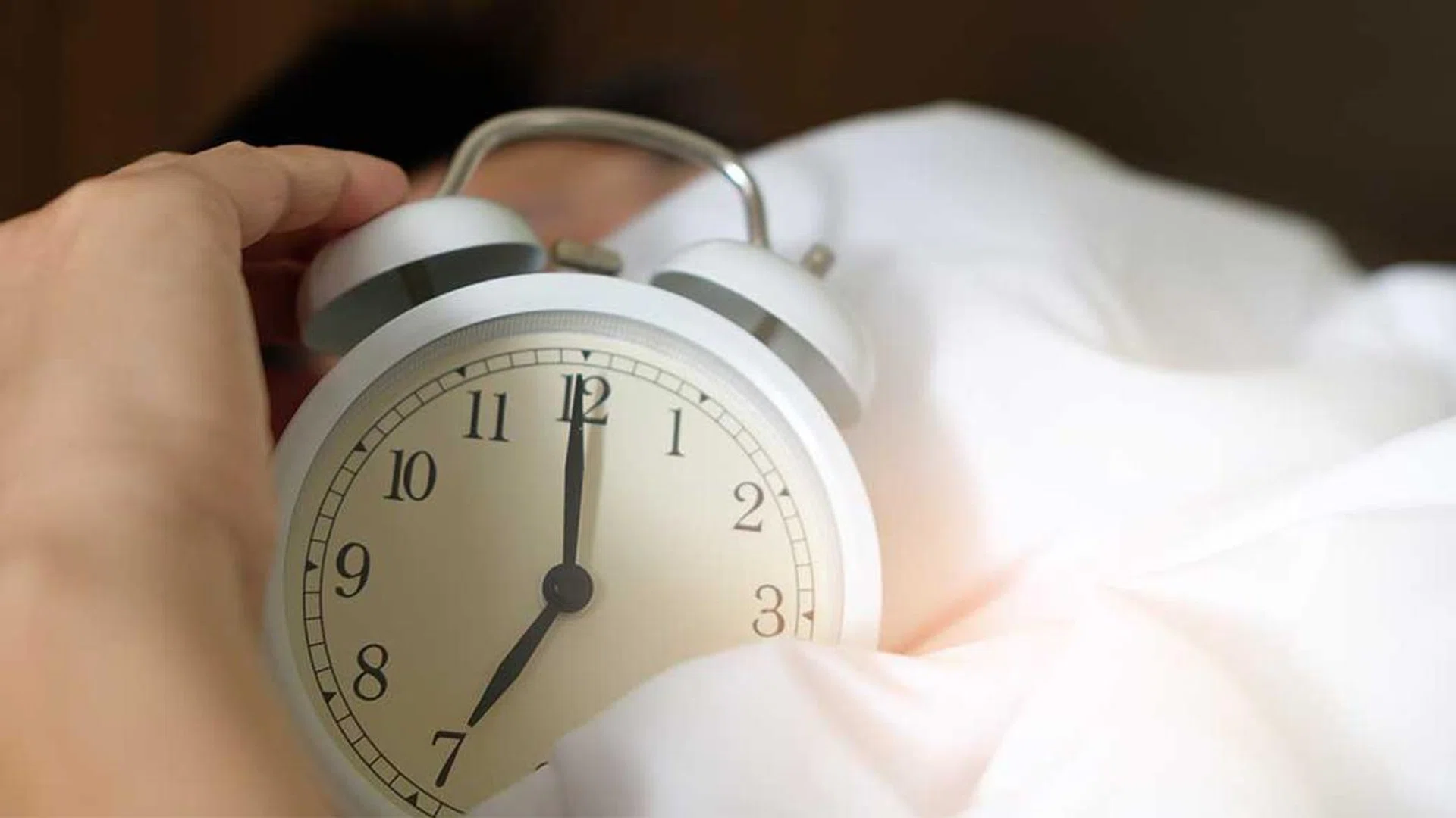 Dolphin chronotypes only sleep with half of their brains, and often struggle to achieve a restful slumber.