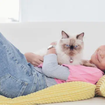 pet-adoption-singapore-helpful-tips-animal-welfare-groups