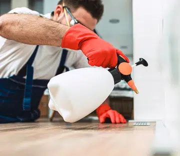 formaldehyde removal services singapore