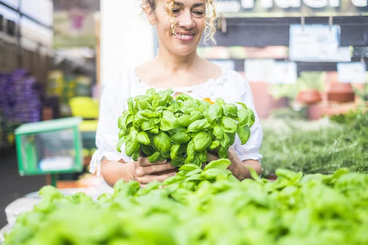 Cheerful caucasian woman buy some basil plants in a garden store - healthy lifestyle and cook kitchen ingredients - green vegetables food and shopping for garden concept