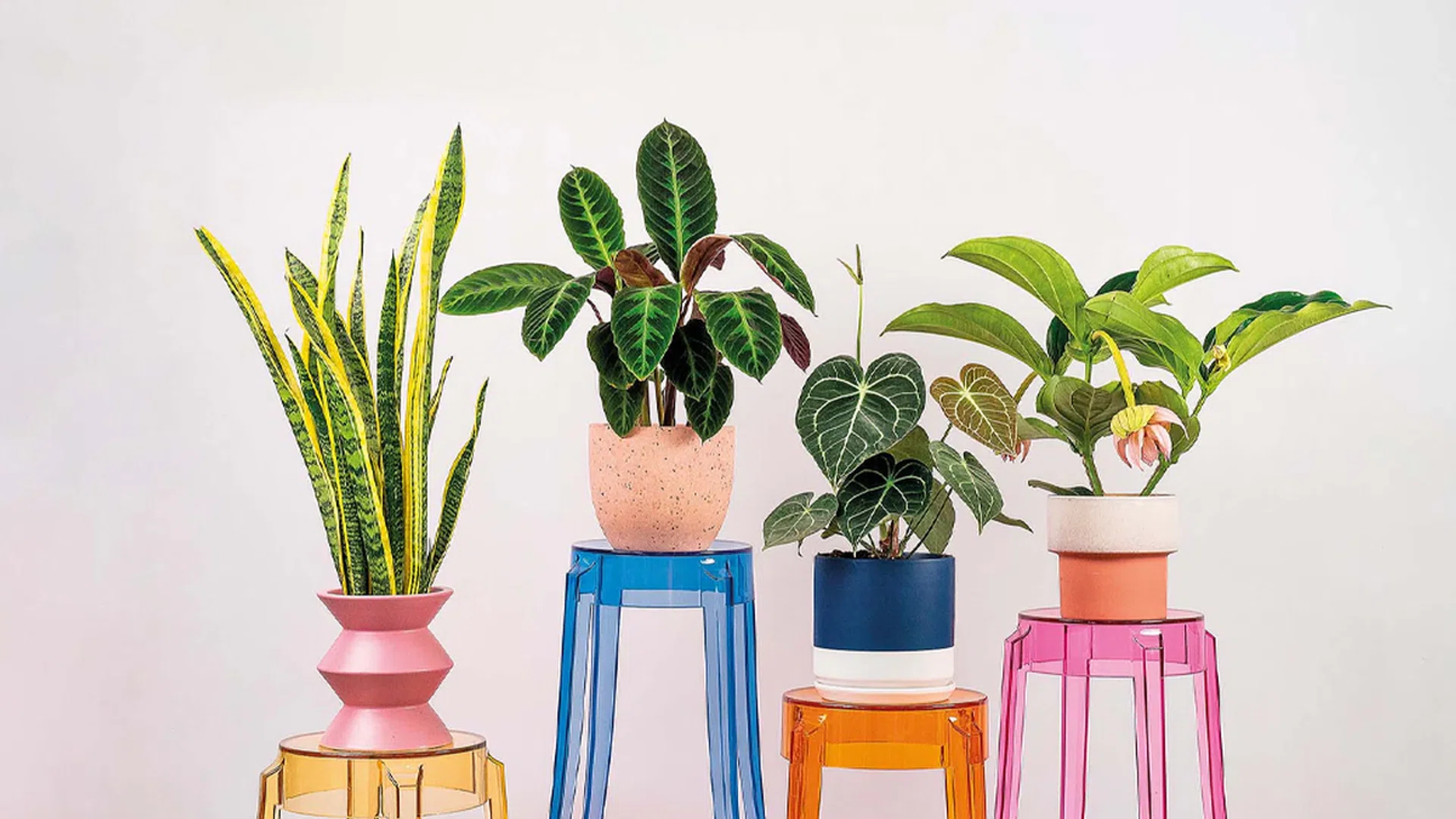 home & decor