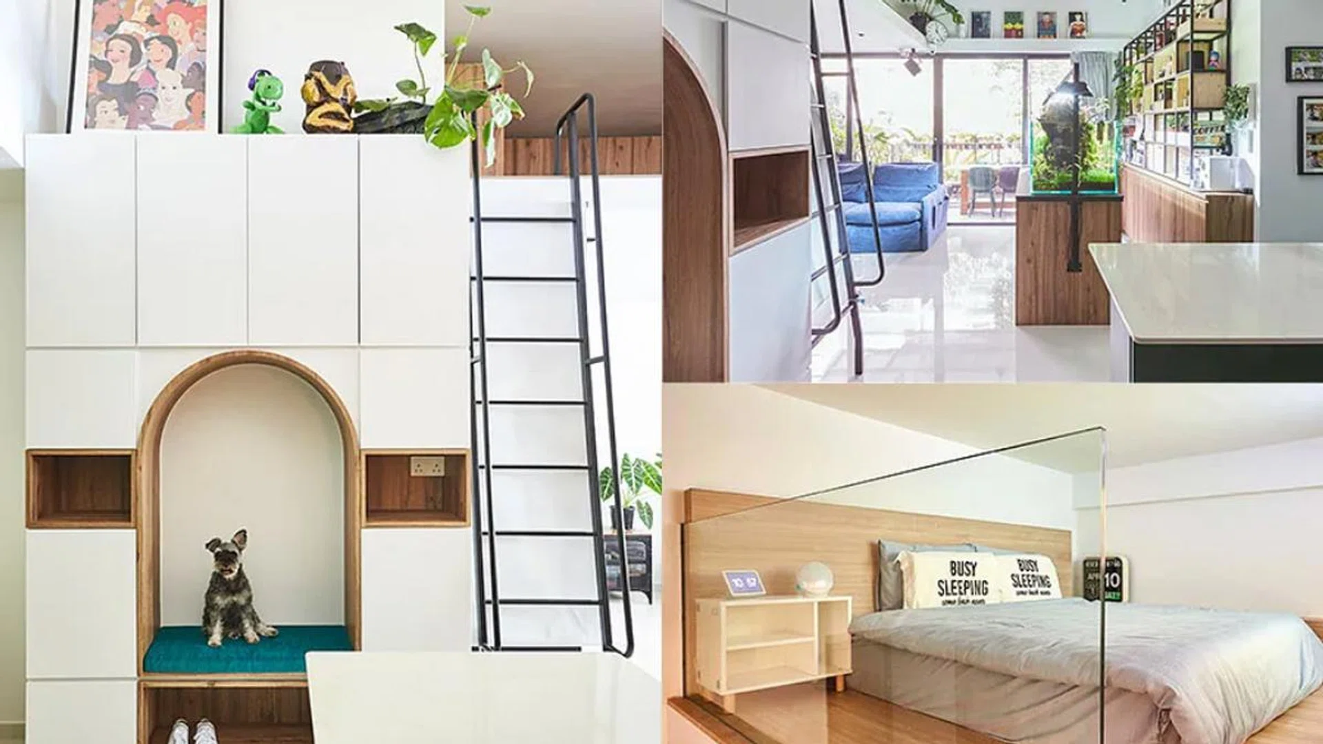 Home & DEcor