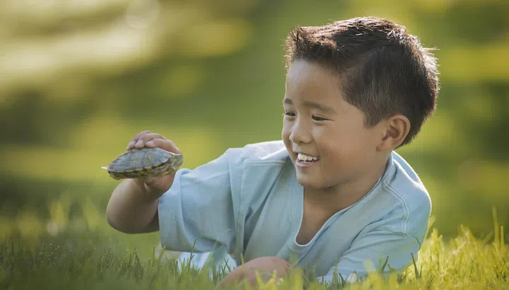 A boy lying on the grass holding a small terrapin or turtle.